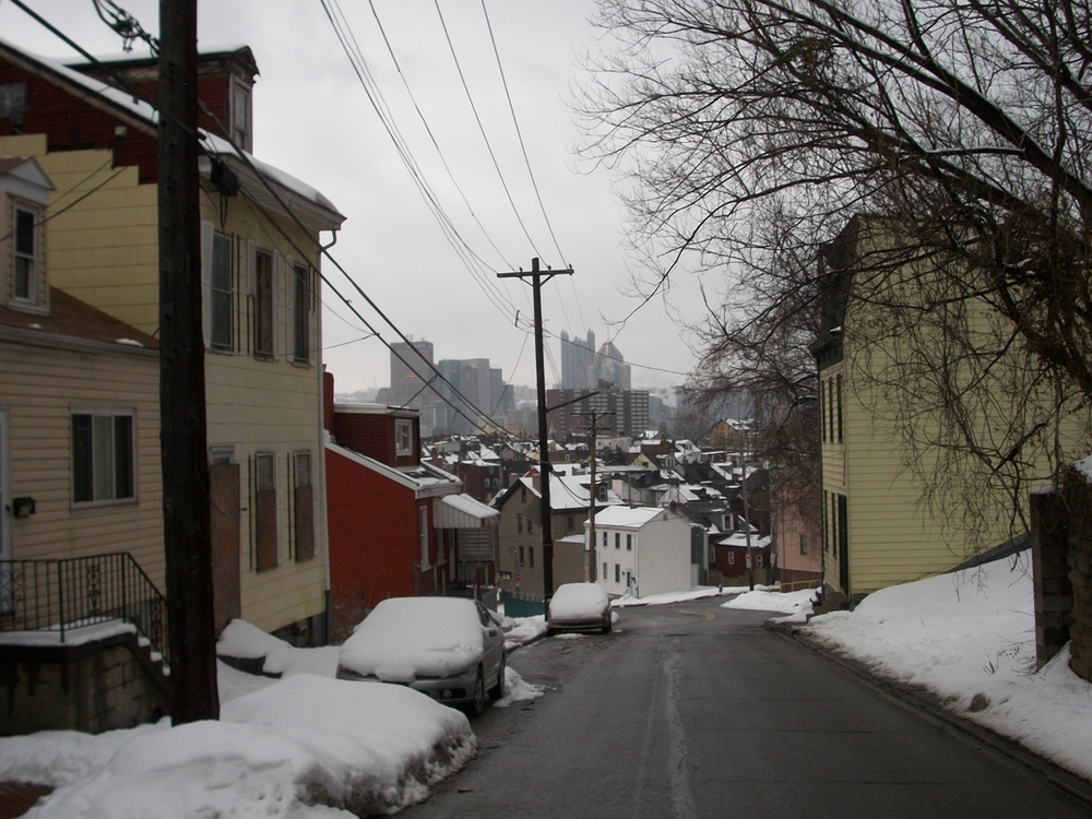 Protecting Your Roof from Wildlife in Pittsburgh's Spring Garden