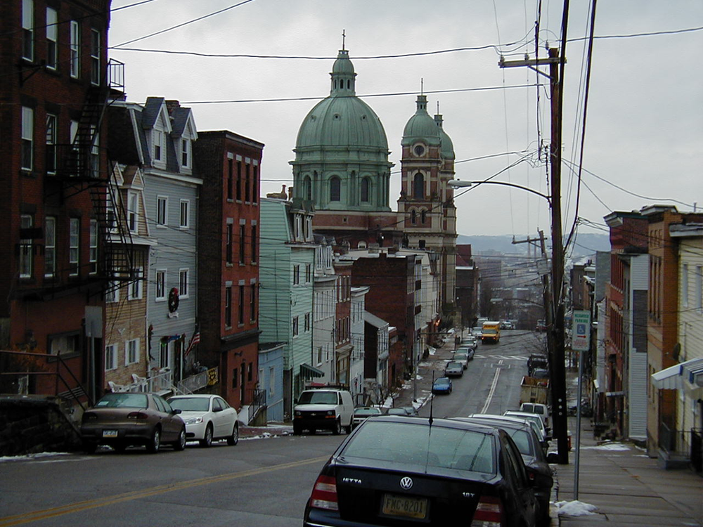 Protecting Your Roof from Wildlife in Pittsburgh's Polish Hill