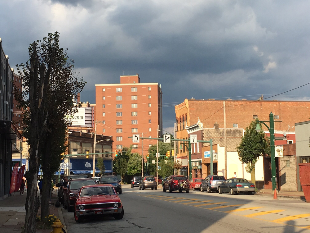 Protecting Your Roof from Wildlife in Pittsburgh's Homestead