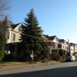 Row of houses in Mount Oliver, Pittsburgh, with overhanging trees, illustrating potential roof maintenance challenges related to tree canopy.