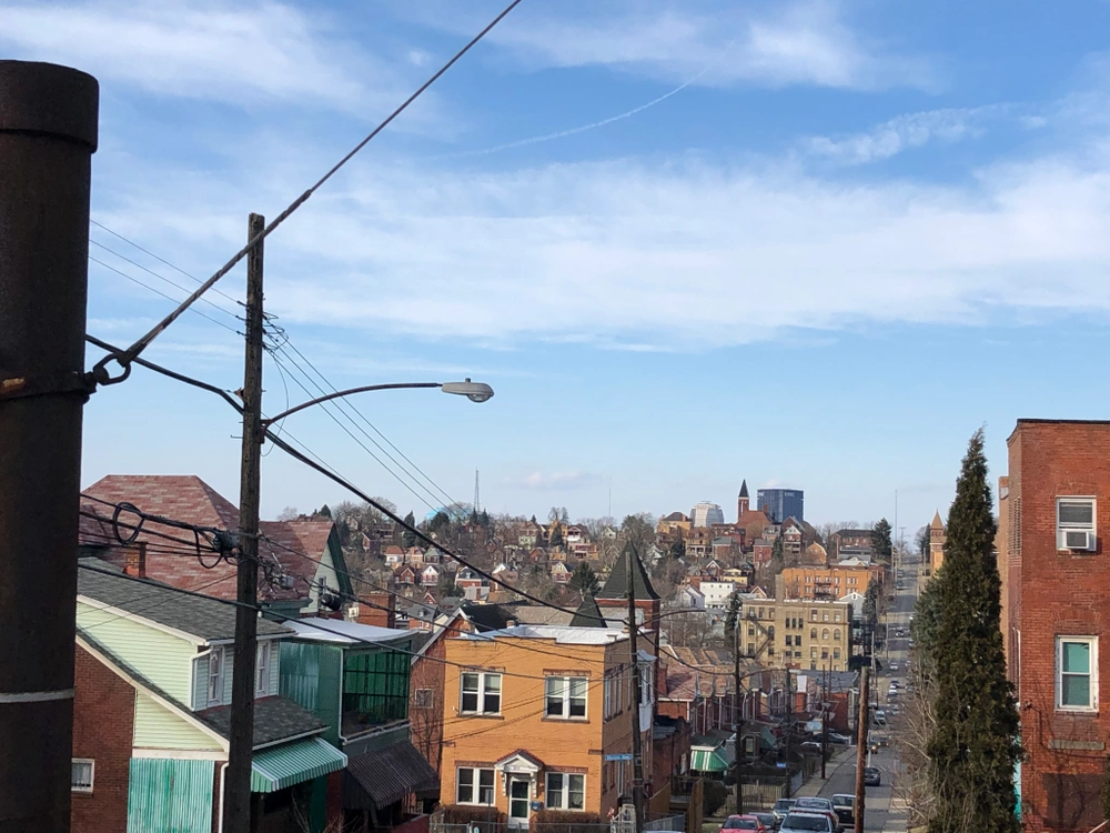 Roofing Maintenance in Pittsburgh's Knoxville Neighborhood: Preserving Your Roof in a Tree-Lined Community 