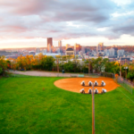 Pittsburgh skyline view from a park with green grass and baseball field, reflecting the importance of maintaining roofs against wildlife in urban areas.