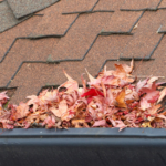 Gutter filled with autumn leaves on a commercial roof, highlighting the need for seasonal roof maintenance and inspections in Pittsburgh.