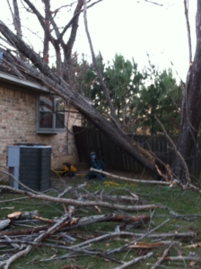 Fallen tree leaning against a house, surrounded by broken branches and debris, highlighting potential roofing damage risks in winter weather preparation.