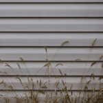 White textured siding with tall grass in the foreground, illustrating exterior solutions relevant to Pittsburgh roofing and siding options.