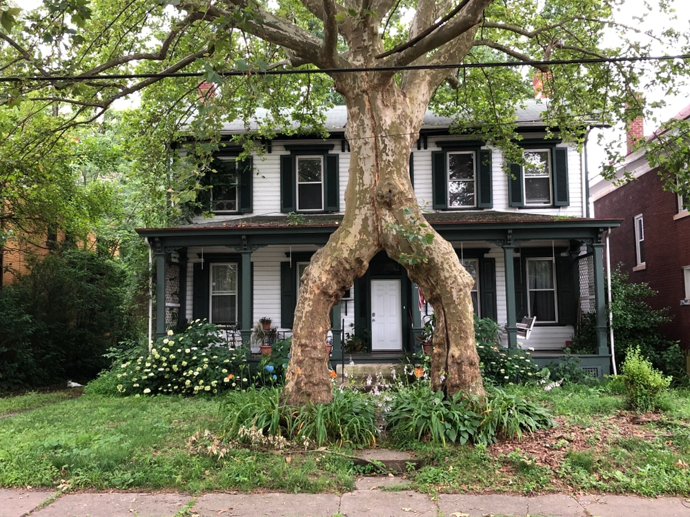 Winter in Pittsburgh's Sheraden neighborhood brings picturesque snow-covered landscapes but also poses risks to your home's safety,