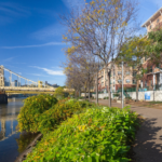 Scenic view of Shadyside's waterfront with lush greenery, historic buildings, and the iconic yellow bridge under a clear blue sky, highlighting the area's architectural beauty and natural charm.