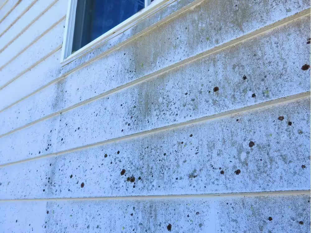 Old Aluminum Siding