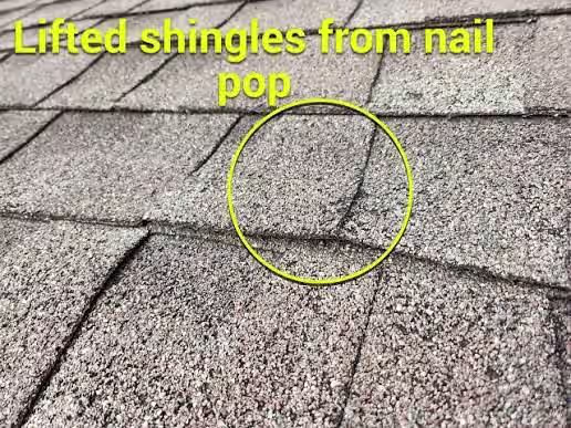 Lifted asphalt shingle caused by a popped roofing nail