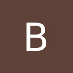 Bob Lyons Google review of Malick Brothers Exteriors
