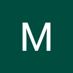 Martin S. Google review of Malick Brothers Exteriors