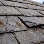 Cracked and broken slate shingles with rusted nail heads on an older slate roof needing repair