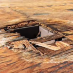 Close-up of severely rotted roof sheathing with a hole broken through the deteriorated wood